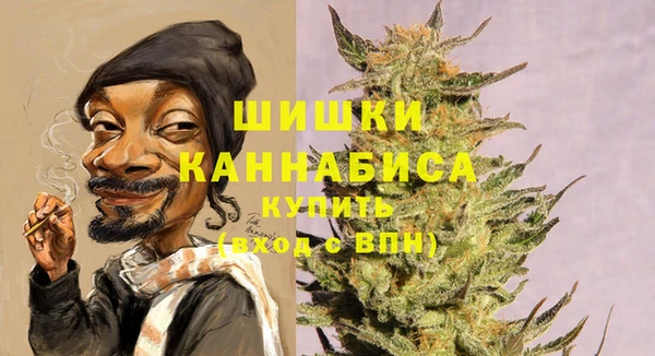 сатива Белокуриха