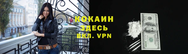 сатива Белокуриха