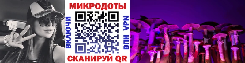 как найти наркотики  darknet клад  Псилоцибиновые грибы ЛСД  Муравленко 